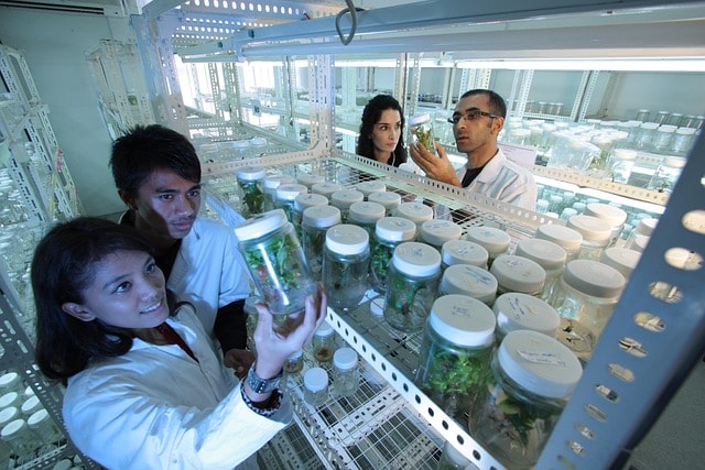 researchers in a laboratory